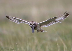 ea317e7d-f8ec-4f08-aaf2-97904a2be671