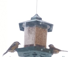 66762b5f-b9a3-4a61-9441-b6cc98d112f0