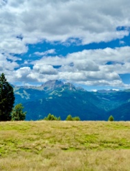 c197d306-467f-4cba-9854-0b213e9ea8e3