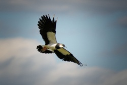 bea90f77-ebce-424b-9093-bba49cd48b14