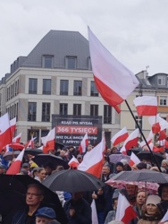 PiS dostaje nóż w plecy od Konfy. "Za każdym razem tam będziemy". Jakie to piękne