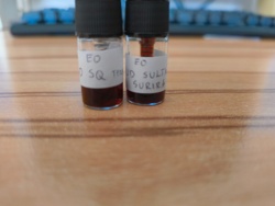 bfb2cd89-d660-4f79-bf60-bfa8087c0f8d