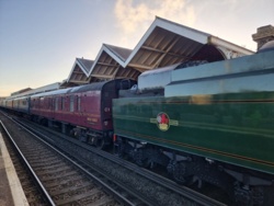 7385b6fe-d990-42a4-bac7-4510609a0f11