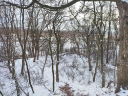 c89977ad-64ea-4f6d-9c95-1b486428100a