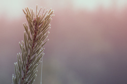 dae6cc9c-2e7c-40c1-810e-f9b479519808