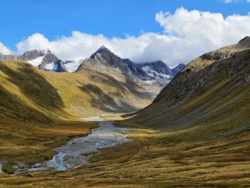 061a09e9-ce63-4e82-9108-18d85edb4bc2