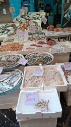 f96c7bda-3cf2-4624-91d0-02421fbe5173