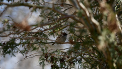 fb69e18d-013b-400e-ac5a-52c649cfc5f8