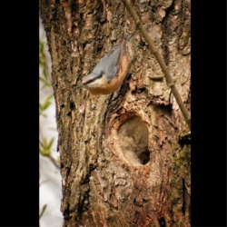 85731411-7a3c-4a00-9b52-fef64288d116