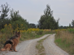 2bdcb8f0-a5f0-4fae-906d-da6fafc04e69