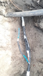 2424856a-f0c8-4ada-b39f-ed04cefad7a1