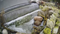 c4ca2b3d-c626-411a-8631-ac42e782a403