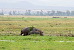 134983ef-c63c-42b0-8a23-b37aaafd0c78