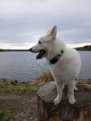 e3e713f9-f19e-4cb7-983d-0ccabe7fb204