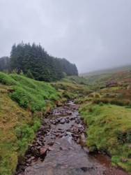 505db498-6e2b-4c0c-b1c9-7b7bc7c76851