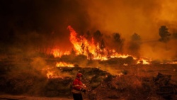 Pożary w Portugalii wymknęły się spod kontroli. Rząd prosi o pomoc