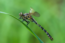 79f887cd-e042-4be0-b2a7-73276fecdefc