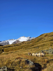 9425dc34-067c-4b4d-a6a2-c0779f3a38bf