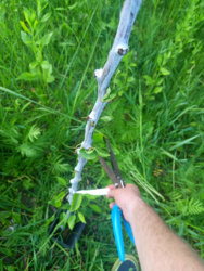 8027d4cc-eb3f-45a3-a44c-f4dff970e492