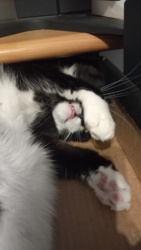 1ffec8d3-aa96-429a-b662-4bc2484fe6cb