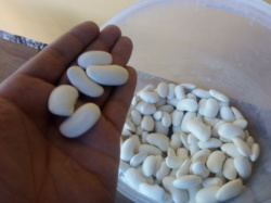 c32117ae-a670-4a07-b8eb-1e0d947760a4