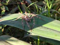 895a9560-08e3-4cd6-b80a-ba2179bcd5ee