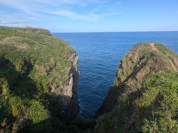 5b11a566-e029-474f-9e76-65c31f3b0420