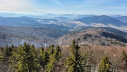 b33926c8-8bff-4a8a-98b8-c82671e21f2d