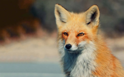 32dc7510-68b7-4eaf-99fe-60afa1c4ae95