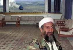 d8473c98-0fcc-4c8b-a19c-84fba01d99ce