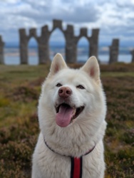 11966191-cc1e-48be-9ed0-7311c1d0d678