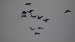 2416cd61-47ee-4c06-a144-1155a74d9ef1