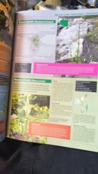 535a7cb8-7e35-4118-8569-5345e22a6dfb