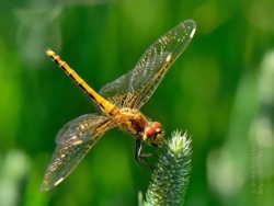 162f9cf8-2569-4428-9500-5eba8d2c4df9