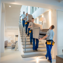 15679efe-2c35-4df5-97e9-5cffc5b9ce7e