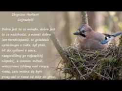 Dojrzałość Zbigniew Herbert Poezje Wiersze | Poezja Dla Duszy