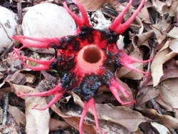 9faf321d-55d2-4803-894c-896de4a59ce6