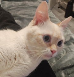 b8c1b4c8-2ed0-480b-ba2e-5adbac058247