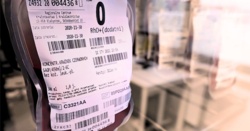 Do 500 zł dla dawców rzadkich grup krwi w 2025 r. Ministerstwo ujawniło listę – kto dostanie pieniądze?