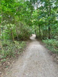 d95dbb2a-5d02-4dda-9261-c6e6f7763582