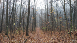 4ca2aa05-5c81-4c80-9bf7-7850466b8f83