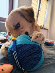 c796b697-429e-44d5-9751-afb430dfc0ac