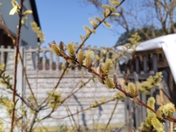 d67826c1-4cd4-4244-b71f-a0c82b0748e0