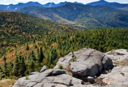 Zjedli grzybki halucynogenne i wyobrazili sobie, że kolega nie żyje