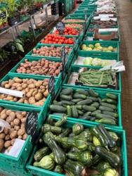 c1f87459-27ef-40d1-9216-43ae03799d36