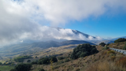 79fbe99a-5f3a-4087-8afd-99ea7cbdcc9d