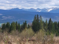 eadfb928-98e4-4721-99d9-ed914c145b85