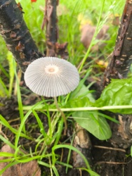 ff022ad3-43aa-4299-953a-0d23ec2d9b03