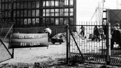 Państwowe Gospodarstwa Rolne. Co się stało z PGR-ami? » Historykon.pl