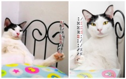 75d38b7a-6c24-4ccf-a580-99c6ba7eea3f